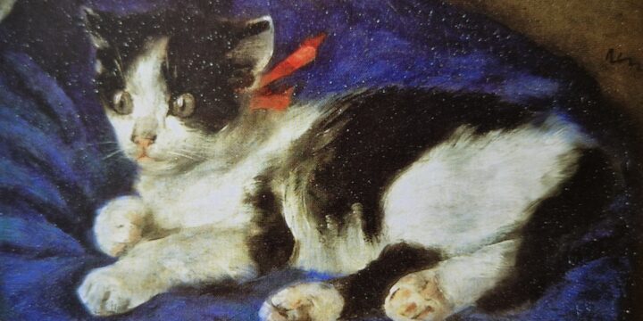 Zomercursus (huis)dier schilderen